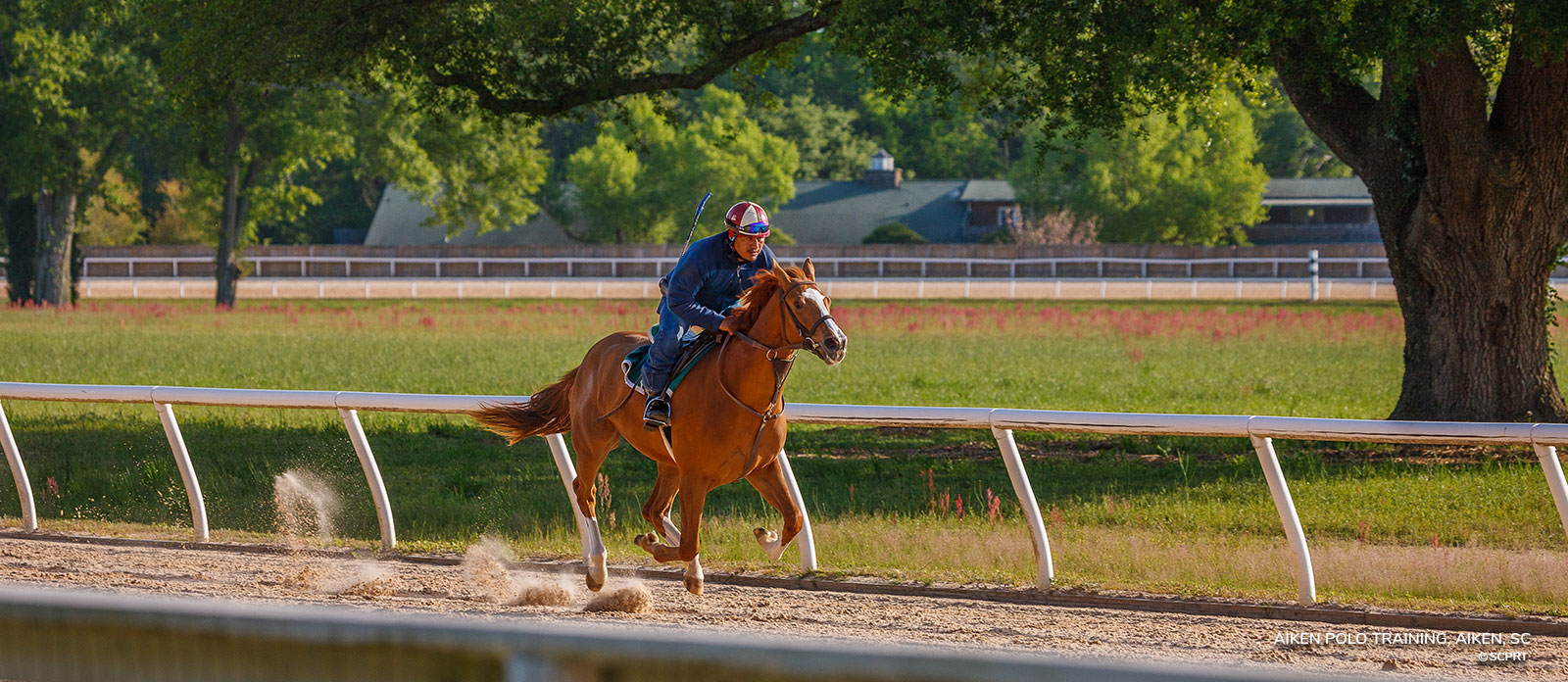 Aiken Polo